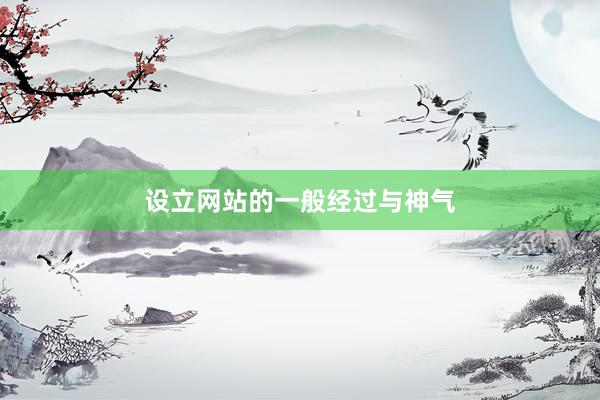 设立网站的一般经过与神气