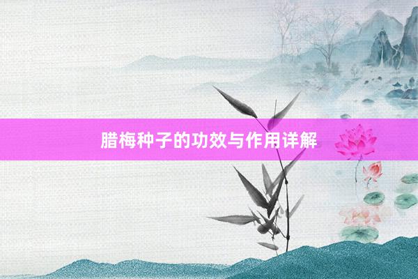 腊梅种子的功效与作用详解