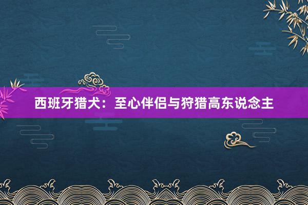 西班牙猎犬：至心伴侣与狩猎高东说念主
