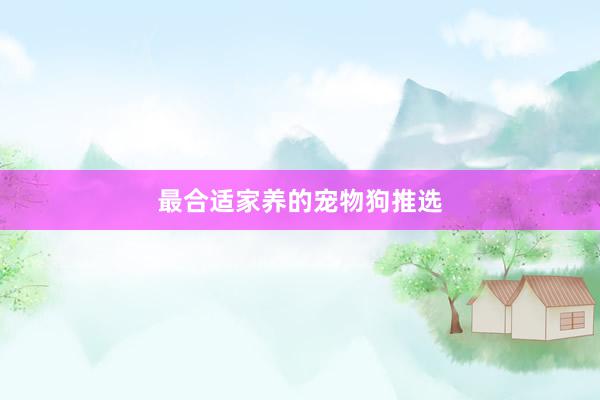 最合适家养的宠物狗推选